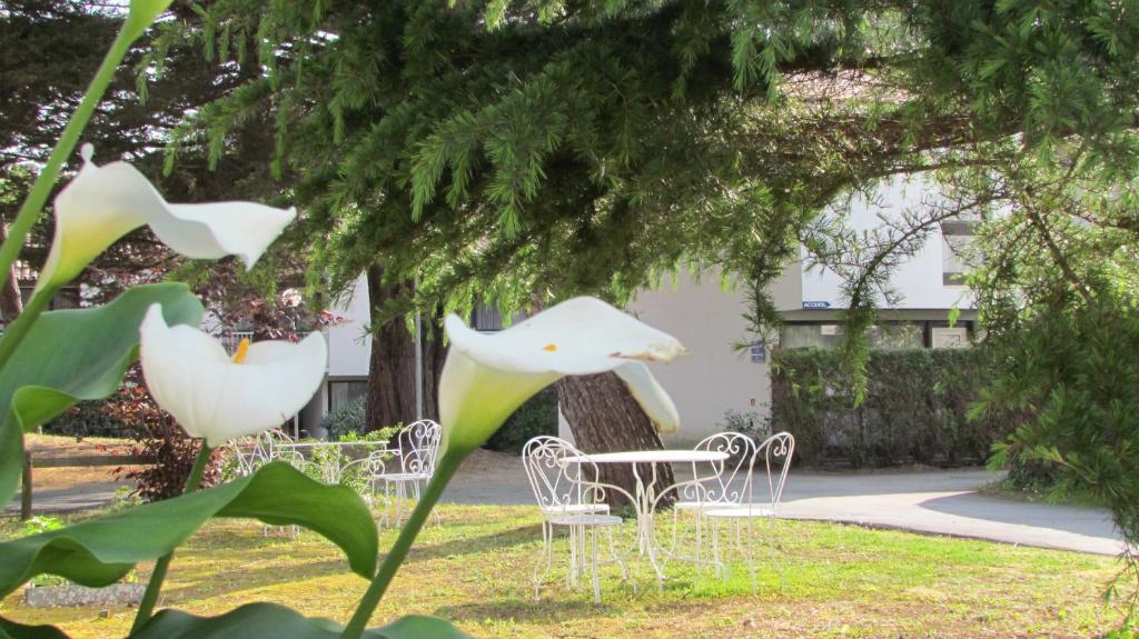Arc En Ciel Oleron Otel Saint-Trojan-les-Bains Dış mekan fotoğraf